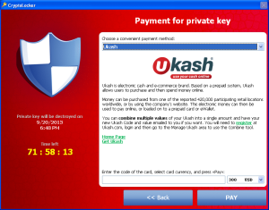 Figure 6. Payment options using the Ukash service. (Source: Dell SecureWorks)